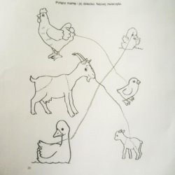 1105 7